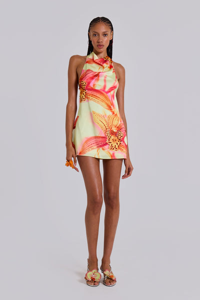 Lucia Backless Mini Dress