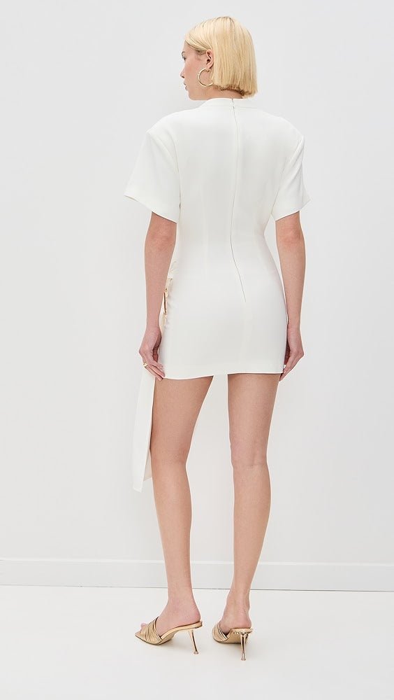 Alexia Lioness Mini dress - Isla Secrets